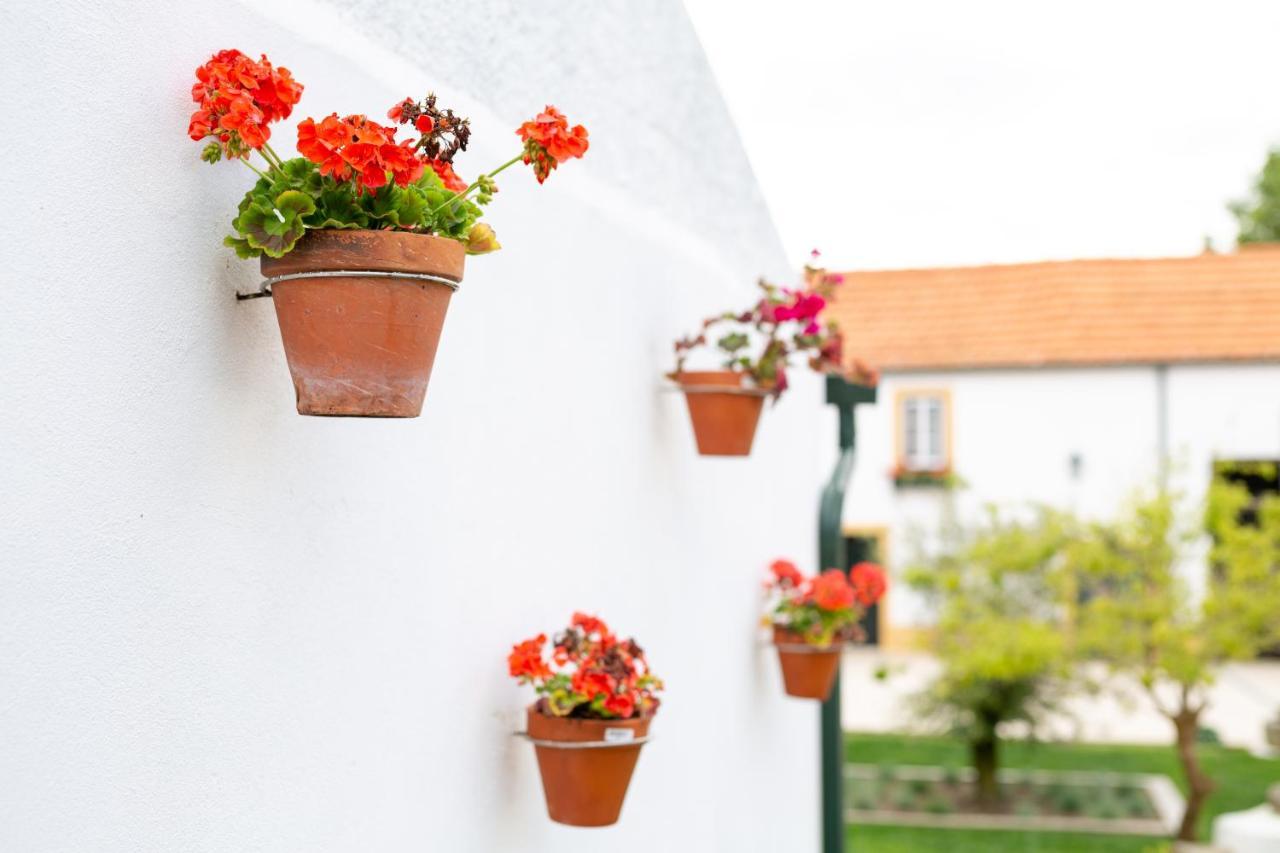 Casa D'Oliveira Bed & Breakfast Aveiro Exterior photo